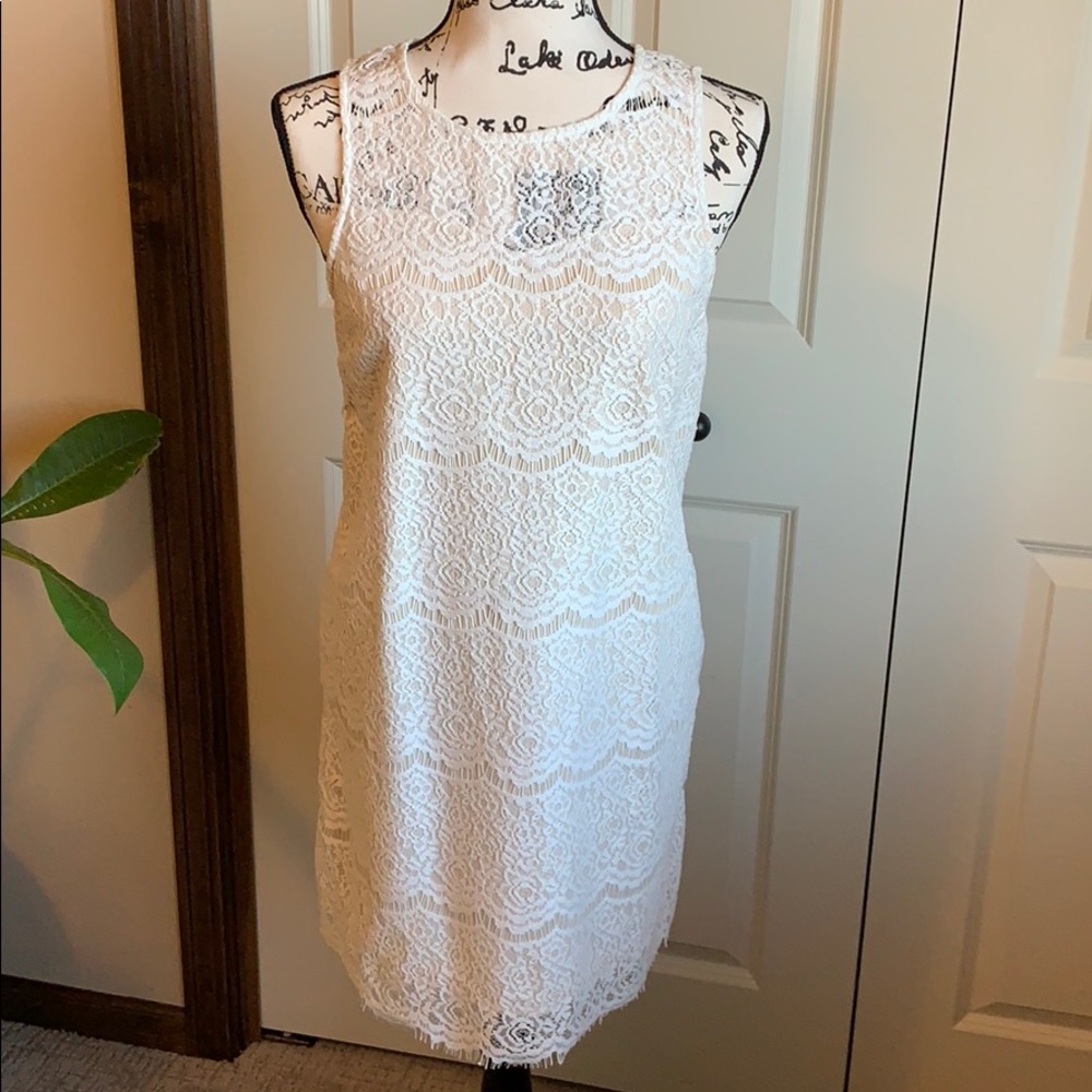 Lace Shift Dress